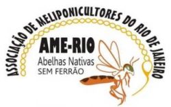 Ame Rio Logo